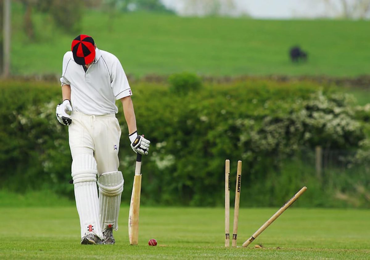 Cricket at St. Luke’s: What to Expect and Answering Big Questions (Part 1)