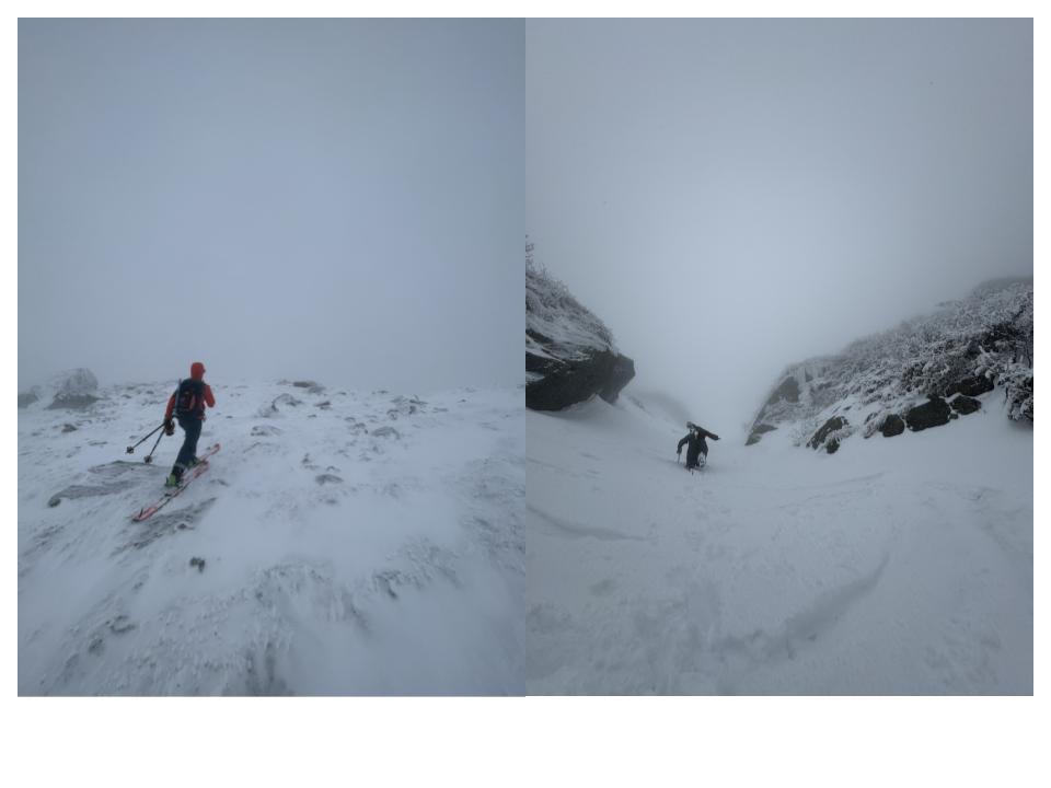 Left Image: The alpine garden. Right Image: The pipeline gulley.